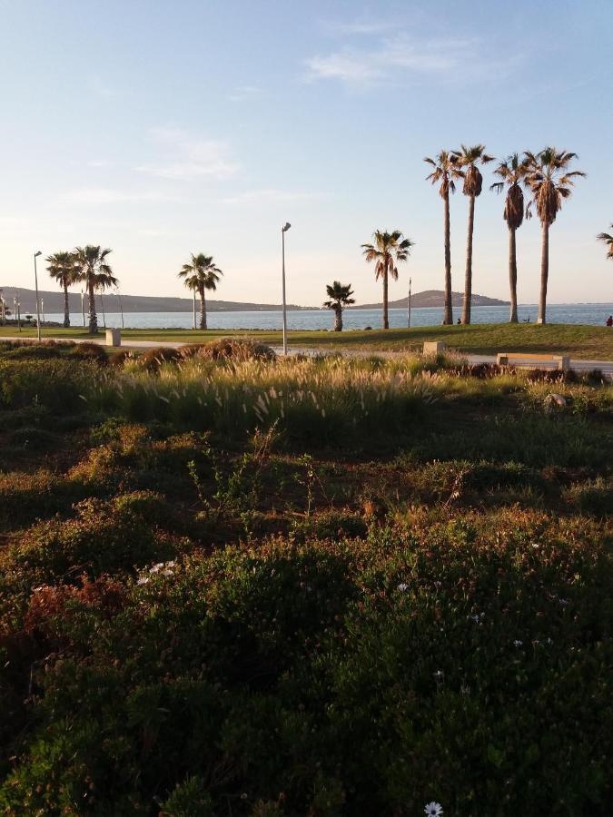 Apartment Nador Rif Exterior foto